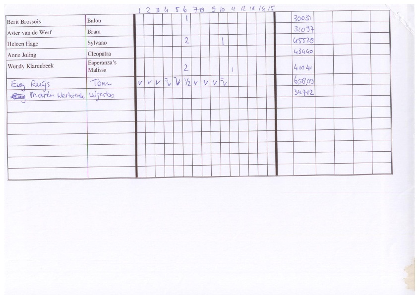 Hindernissenbaan 2/2